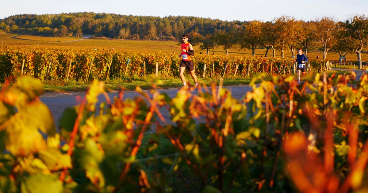 Marathon des Grands Crus — imagem do organizador
